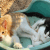 Lukas und Juri - chillen ist auch eine Kunst!